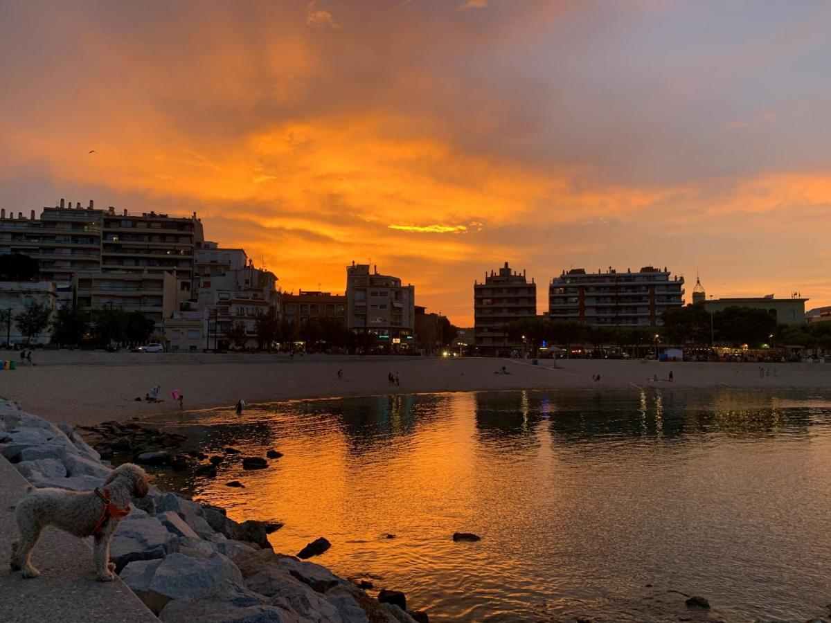 Notaria-Apartamento Y Estudio En Casco Antiguo, Al Lado De Playa, Rambla Y Monasterio, Con Acceso A Terraza Ajardinada Сан-Фелиу-де-Гишольс Экстерьер фото